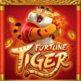 fortune tiger cassino -456bet ícone